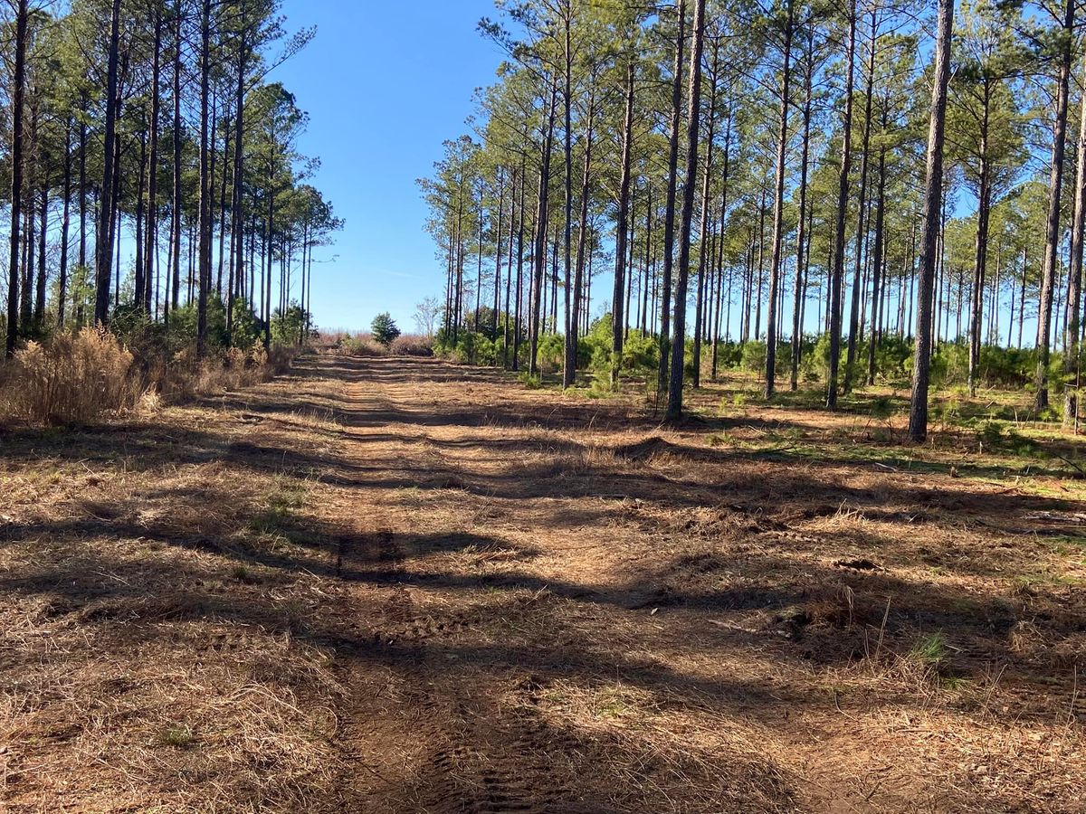 Land Clearing for McGough Construction in Reynolds, GA