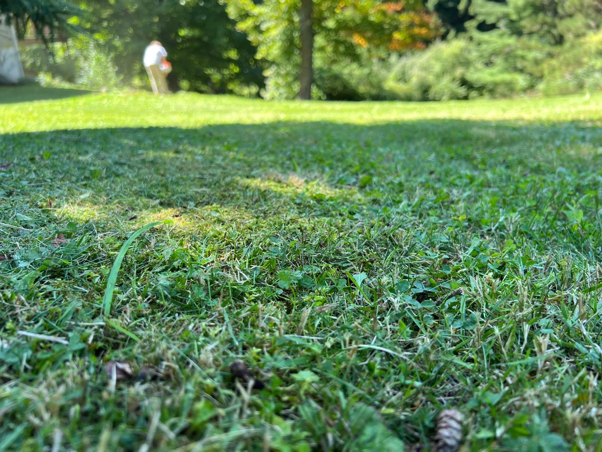 Mowing for VP Landscaping  in Fife Lake,  MI