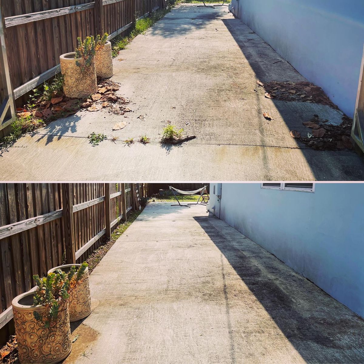 Fall and Spring Clean Up for Wicked Weeds Propertycare in Tampa, Florida
