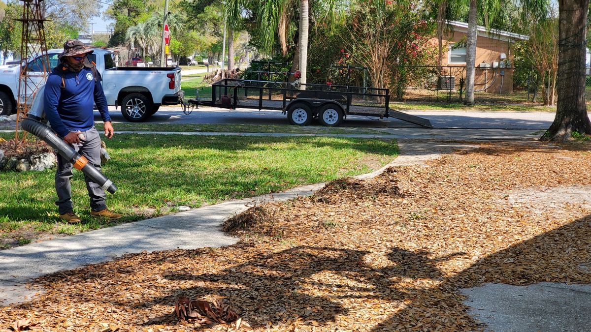 Fall Clean Up for 1 Friendly Lawn Service in Tampa, FL