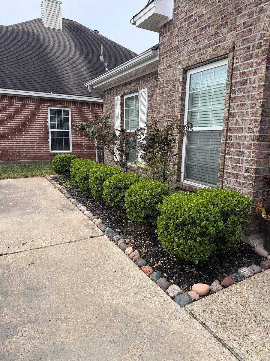 Trimming for C&R Landscaping LLC in Beaumont, TX
