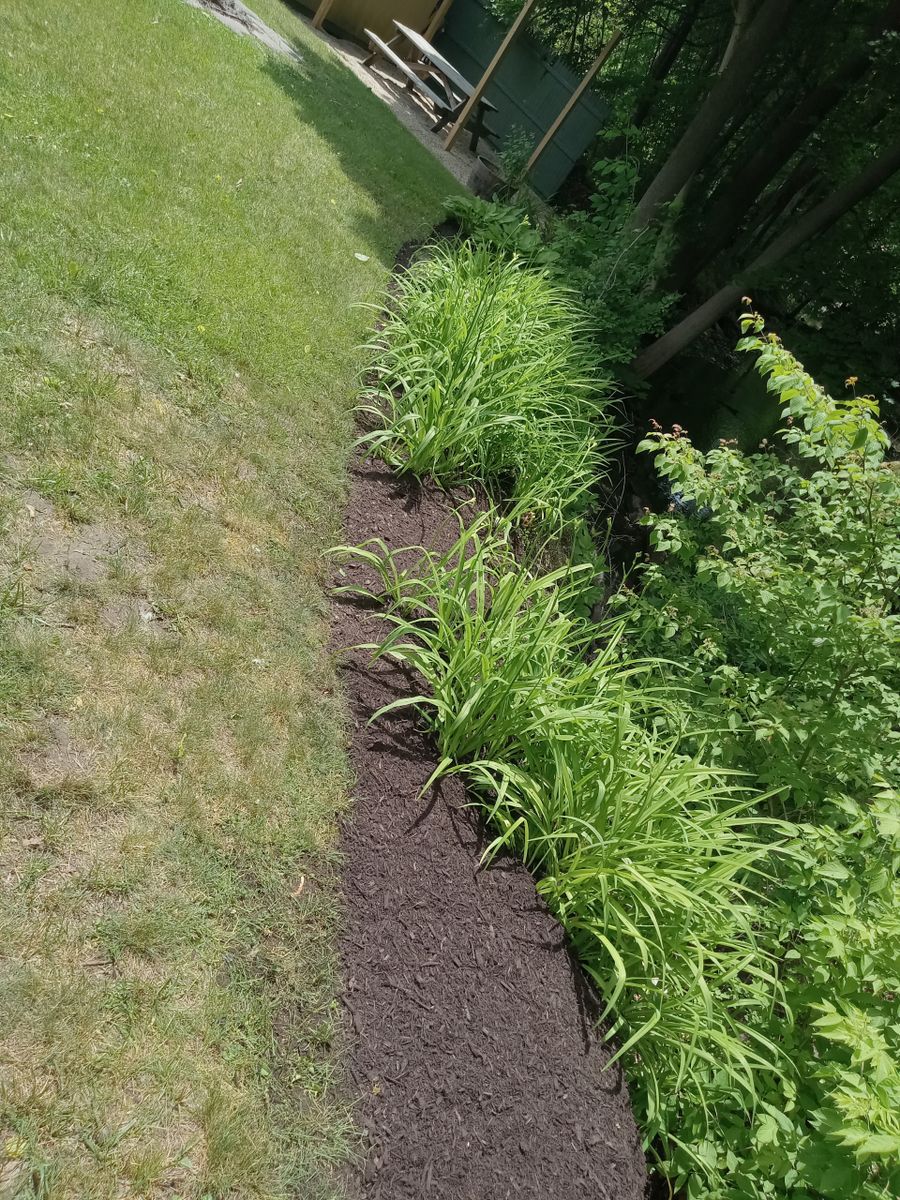 Mulch Installation. for K Brown's Property Maintenance in Pittsfield, MA