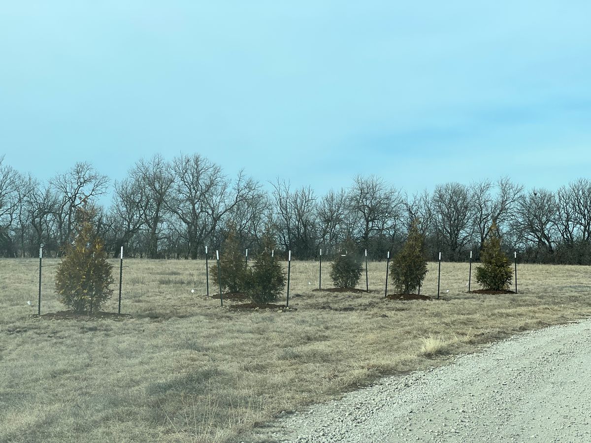 Tree Planting for Jakob’s Lawn Kare in Wichita, KS