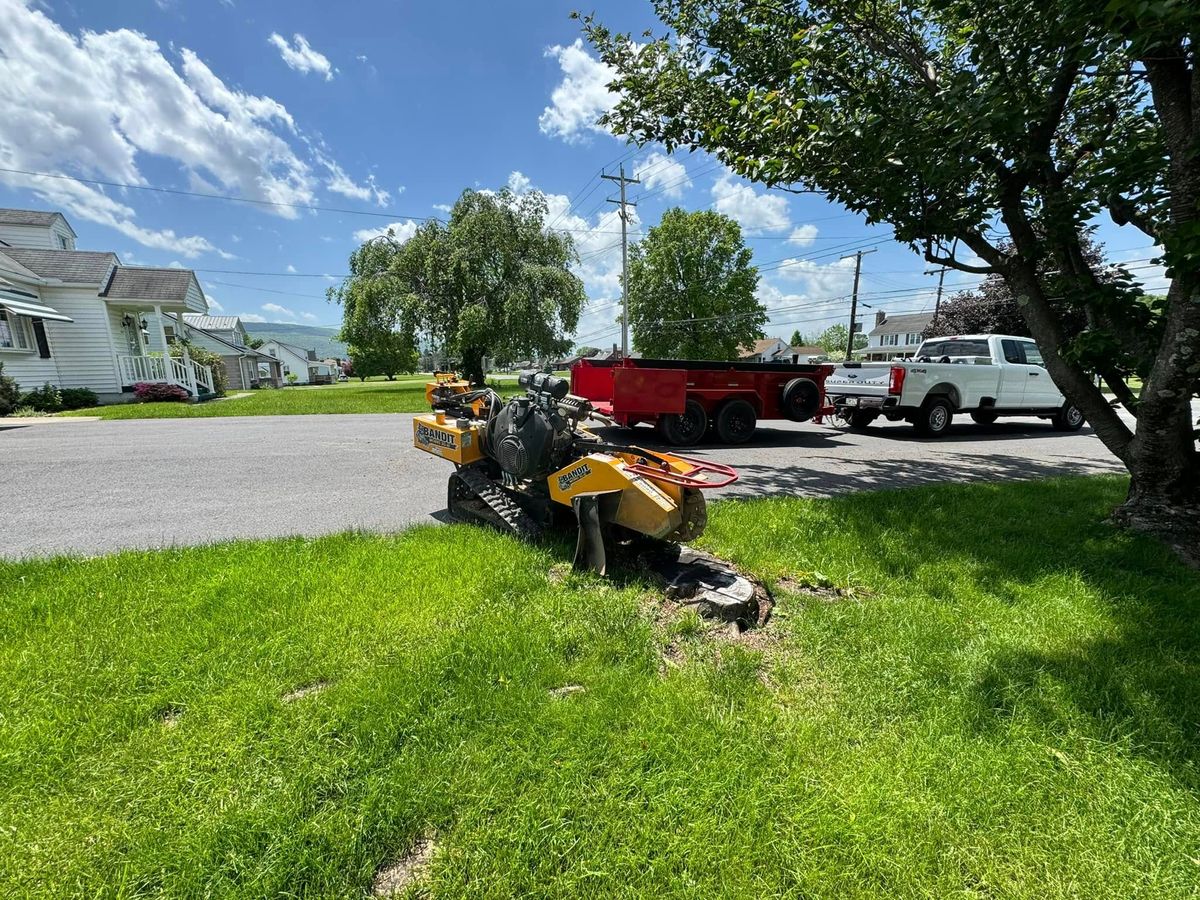 Stump Removal for Beckenbaugh Tree and Lawn Service in Lewistown, PA