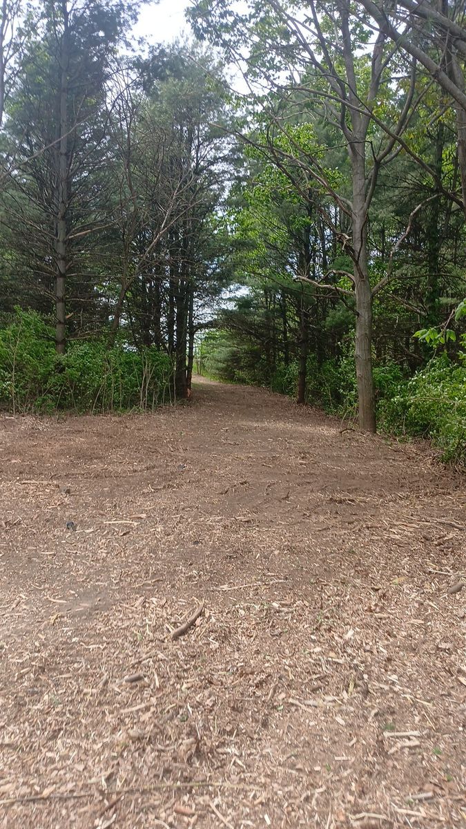 Landscaping for Willing Trucking & Excavating in Evansville, WI