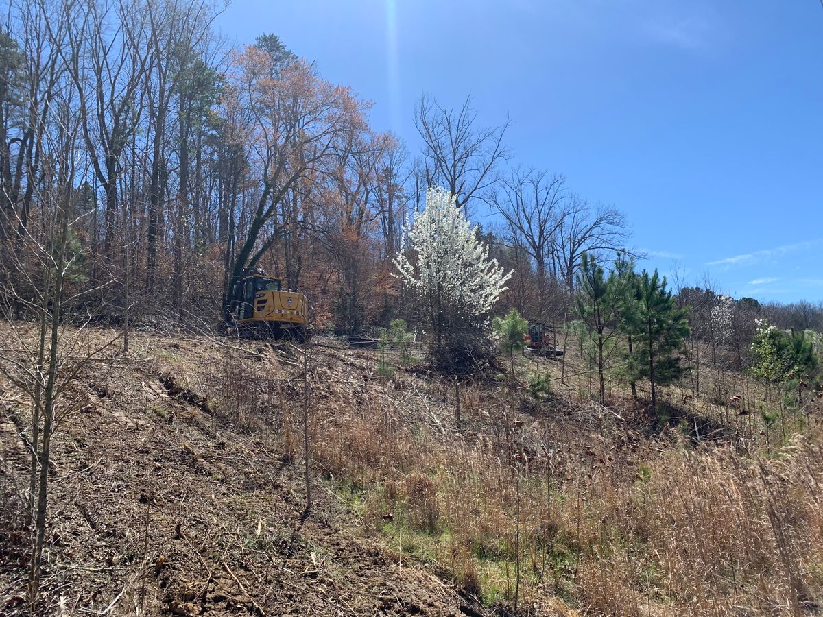 Land Clearing & Demolition for J.P Landscaping and excavation in Chattanooga, TN