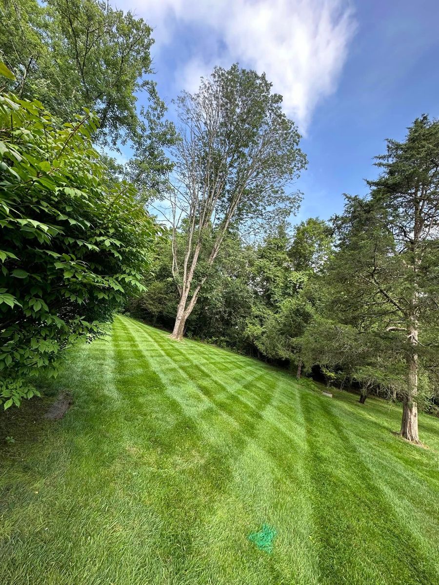 Lawn Maintenance for Wiles Lawn and Landscaping in Powell, TN
