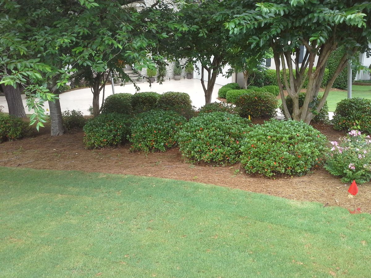 Mowing for Terra Bites Lawn Service in Jefferson, GA