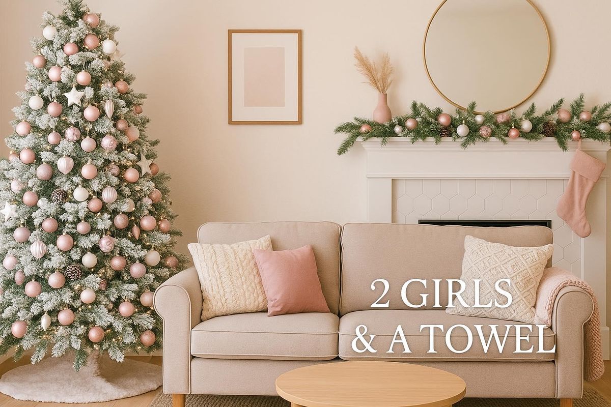 Residential Cleaning for 2 Girls & A Towel in Springfield, MO