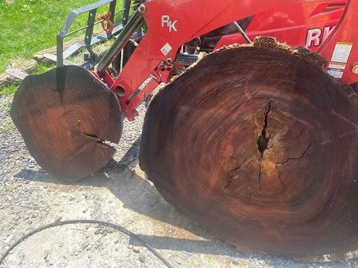 Tree Removal for Brocks Tree Service LLC in Rogersville, TN