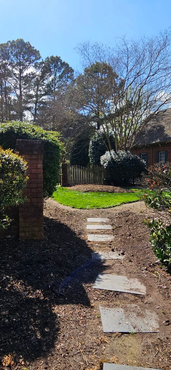 Stump Removal for Beach Tree Care in Virginia Beach, VA