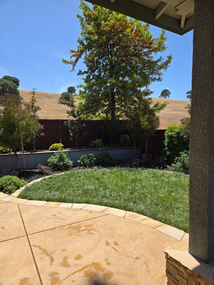 Landscape Installation for LEBEC, Inc in Brentwood, CA
