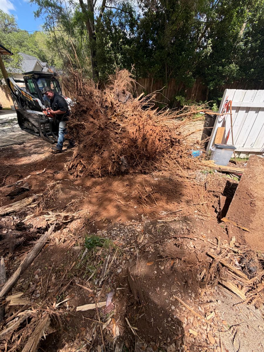 Tree and Vegetation Removal for Dude's Crew in Bristol, FL