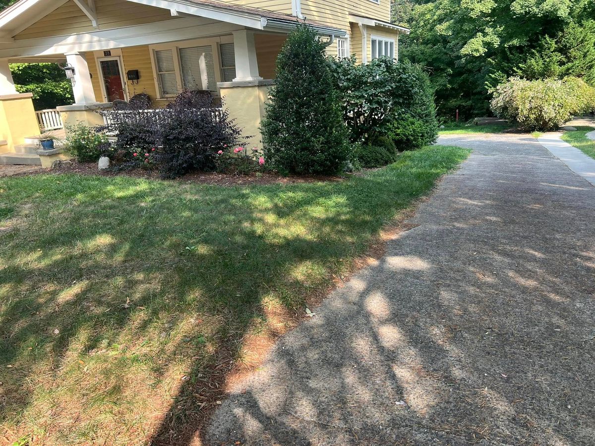 Shrub Trimming for Foothills Lawn and Landscape in North Carolina, NC