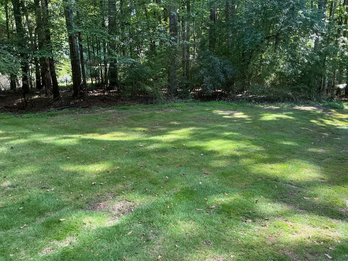 🌱 NB Sod Installation for New Beginning Landscape & Remodel LLC in Atlanta, GA