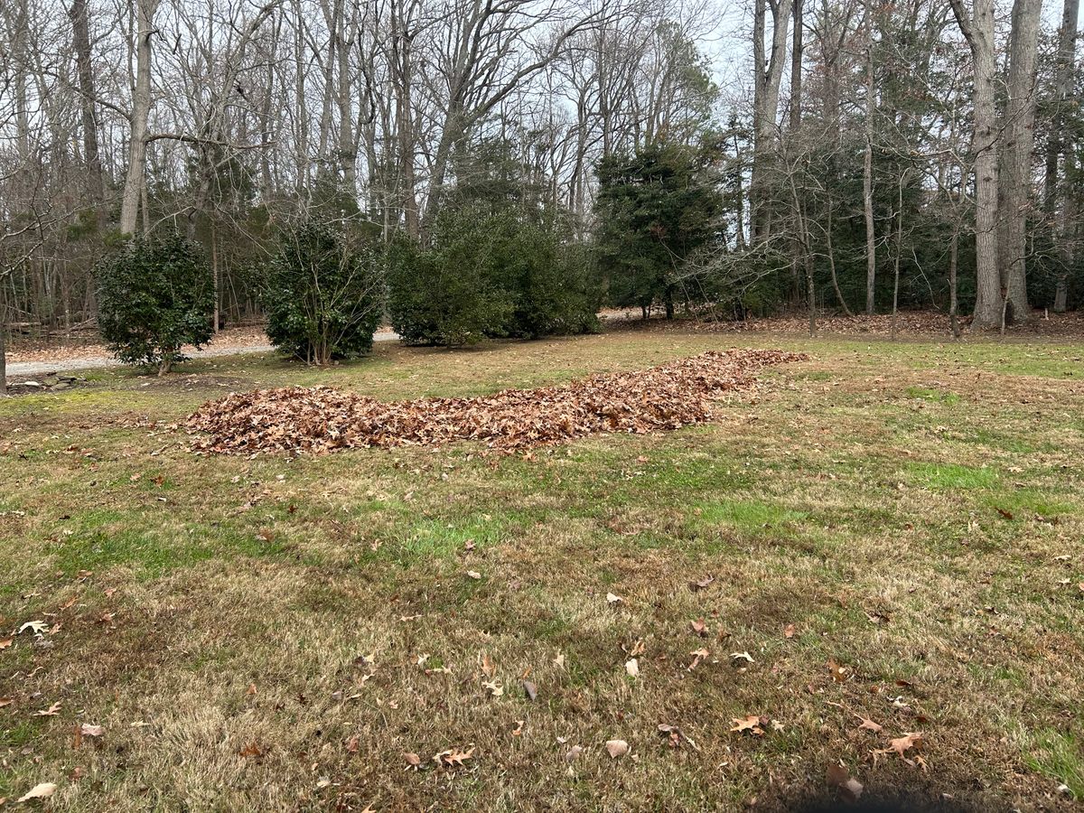 Leaf Removal  for The Whole 9 Yards Landscape VA in Heathsville, VA