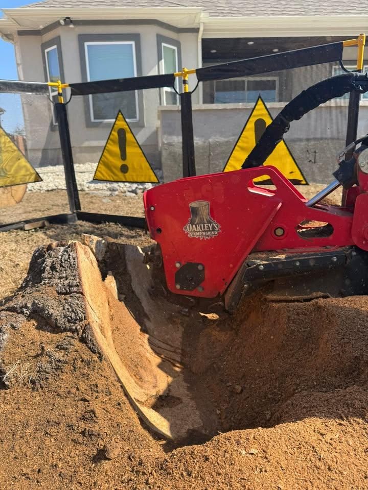 Tree Removal for Oakley’s Stump ‘N Grind in Leander, TX
