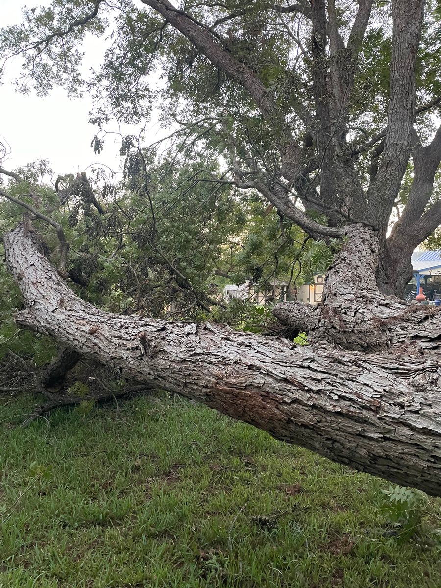 24 hour emergency services for Z’s Trees LLC in Grey Forest, TX