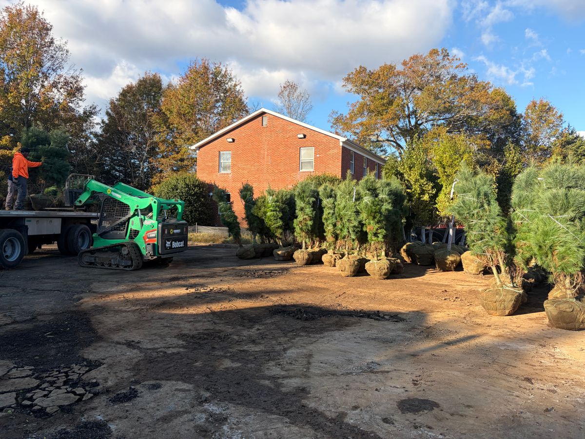 Landscaping for 9999 Building and Renovation LLC in Warrenton, VA