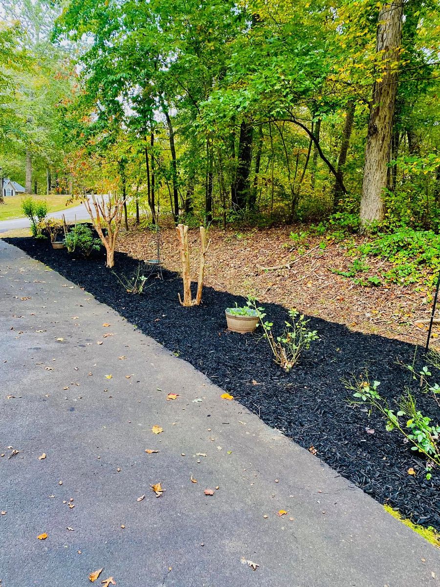 Hedge Trimming for Taylormade Lawn Management in Clarkesville, GA