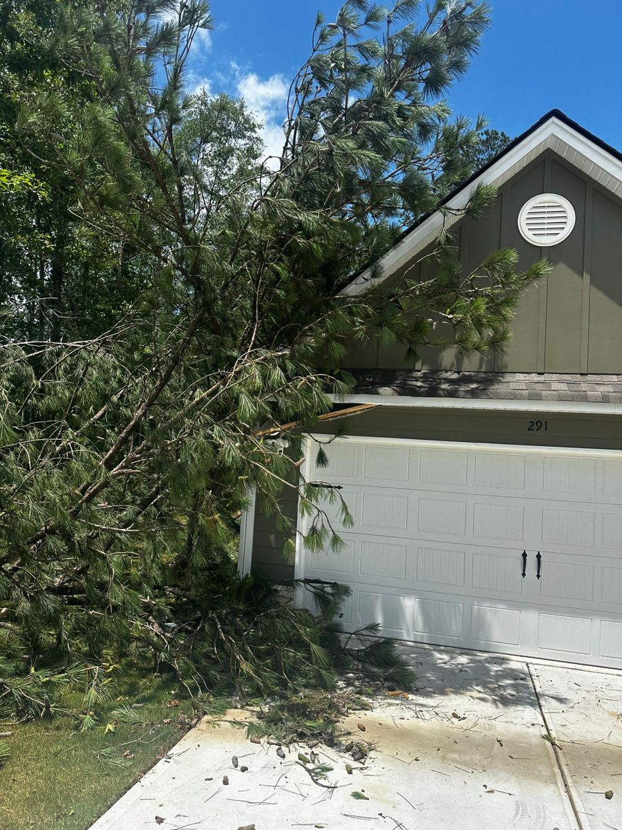 Tree Damage Insurance Claims for Bulldawg Disaster Response in Atlanta, GA
