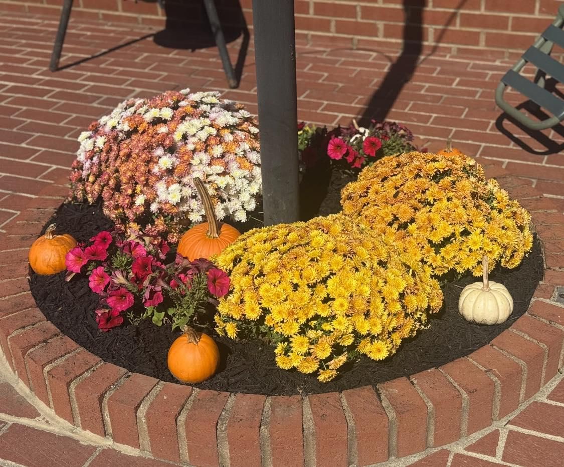 Landscape design for Branch Out Tree Care LLC in Fredericksburg, VA