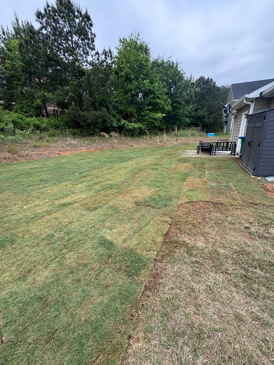 Sod Installation for Deeply Rooted Lawns – Hydroseeding & Sod Installation Services in Winder, GA