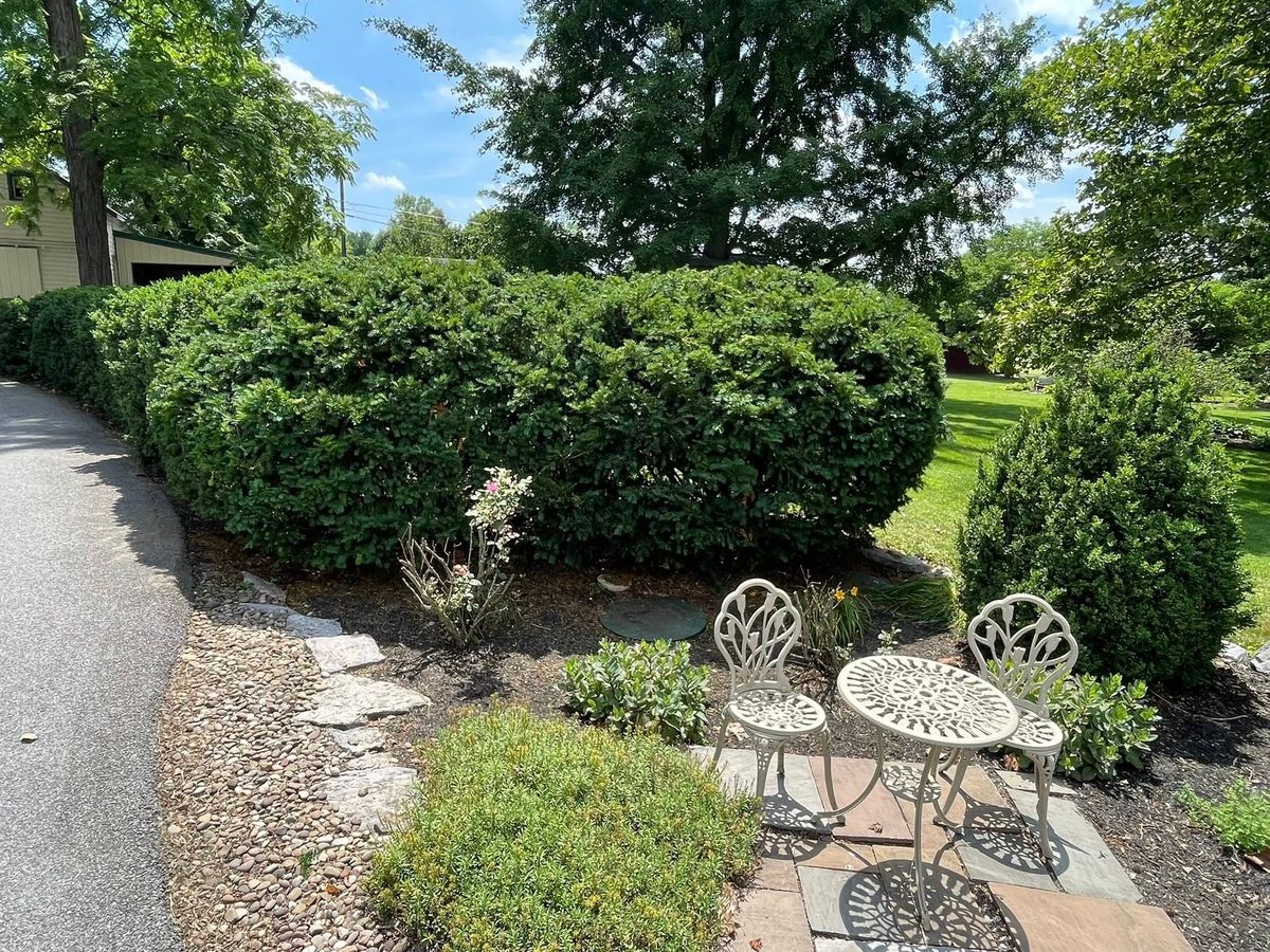 Shrub Trimming for Byers Premier Landscapes in Chambersburg, PA