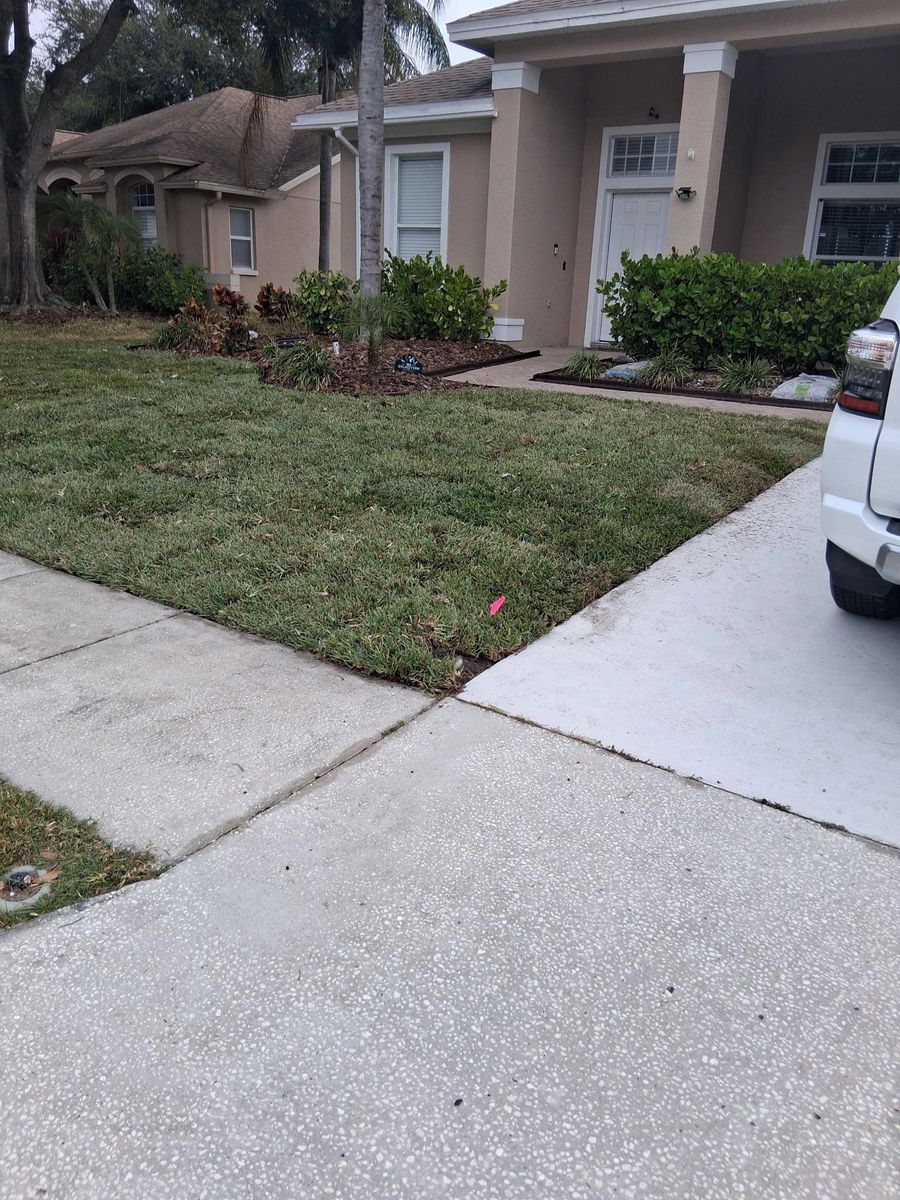 Landscape Design for Gulf Bay Sod in Clearwater, FL