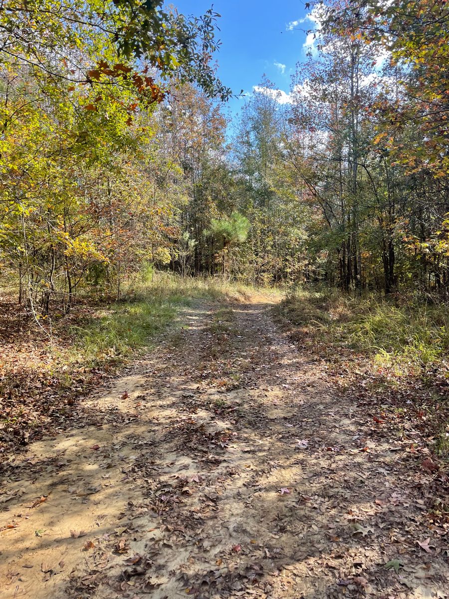 Land Clearing and Demolition for Polasini Land Development in Starkville, MS
