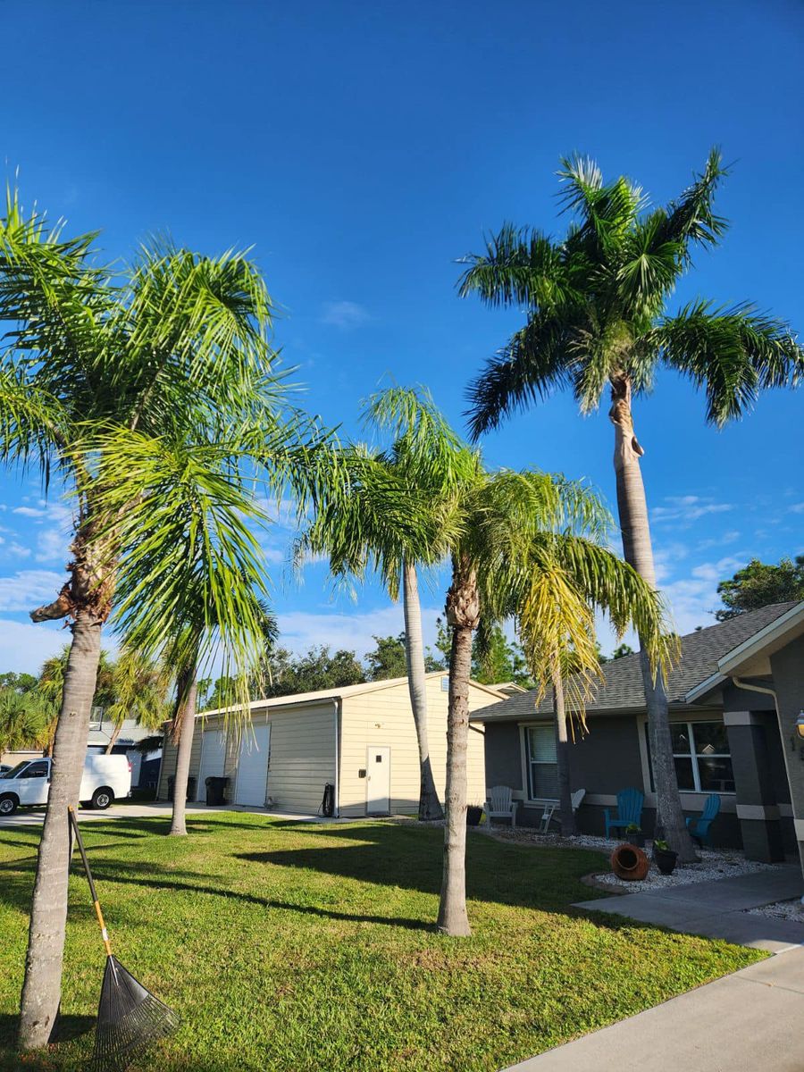 Land Clearing for Nick of Time Tree Service in North Port, FL