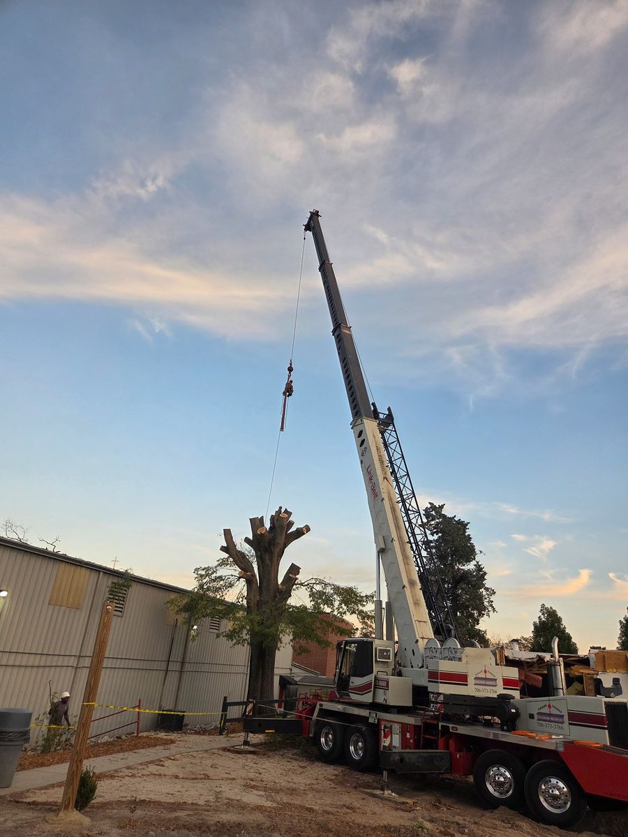 Tree Removal for Trees Unlimited of the CSRA in Augusta, GA