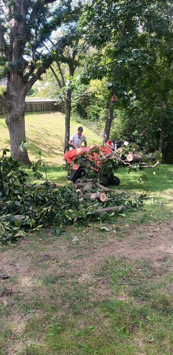 Tree Removal for Lawn Ranger Yard And Tree Service LLC in Ottumwa, IA
