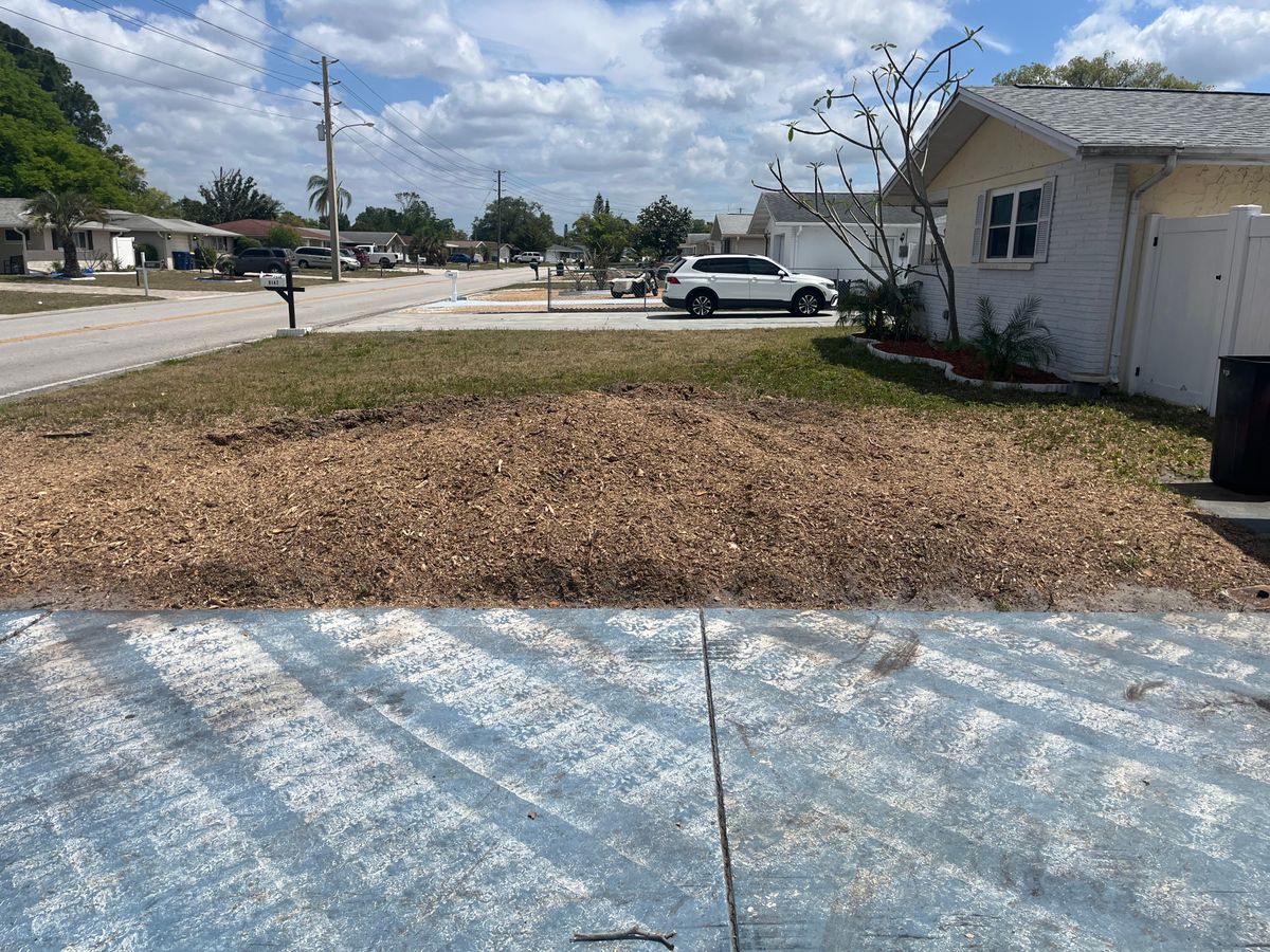 Stump Grinding for Busy Beaver Stump Removal, Inc in Clearwater, FL