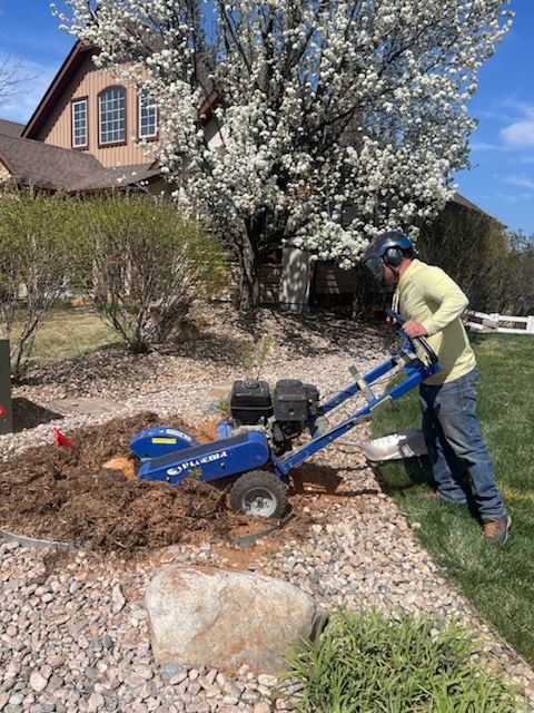Stump Grinding  for Graham’s Tree Services in Pierce, CO