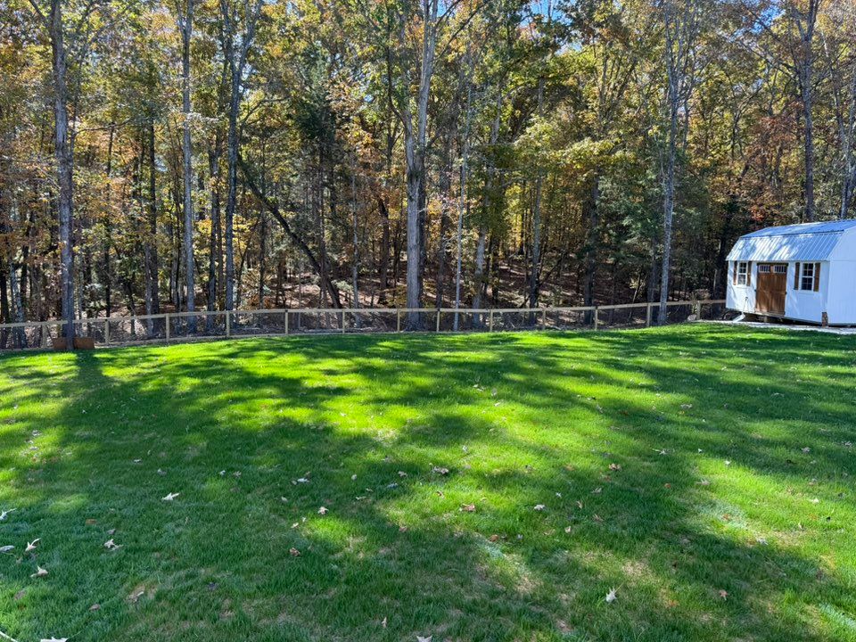 Seasonal Clean-up Services for Blue Sky Turf in Monroe, NC