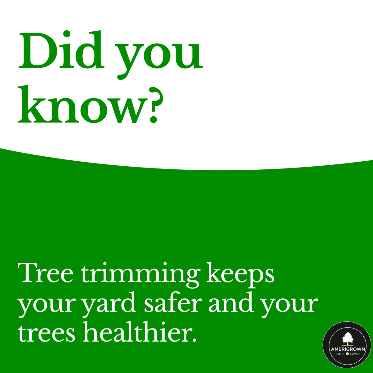 Tree Pruning for Amerigrown Tree And Lawn in Apopka, FL