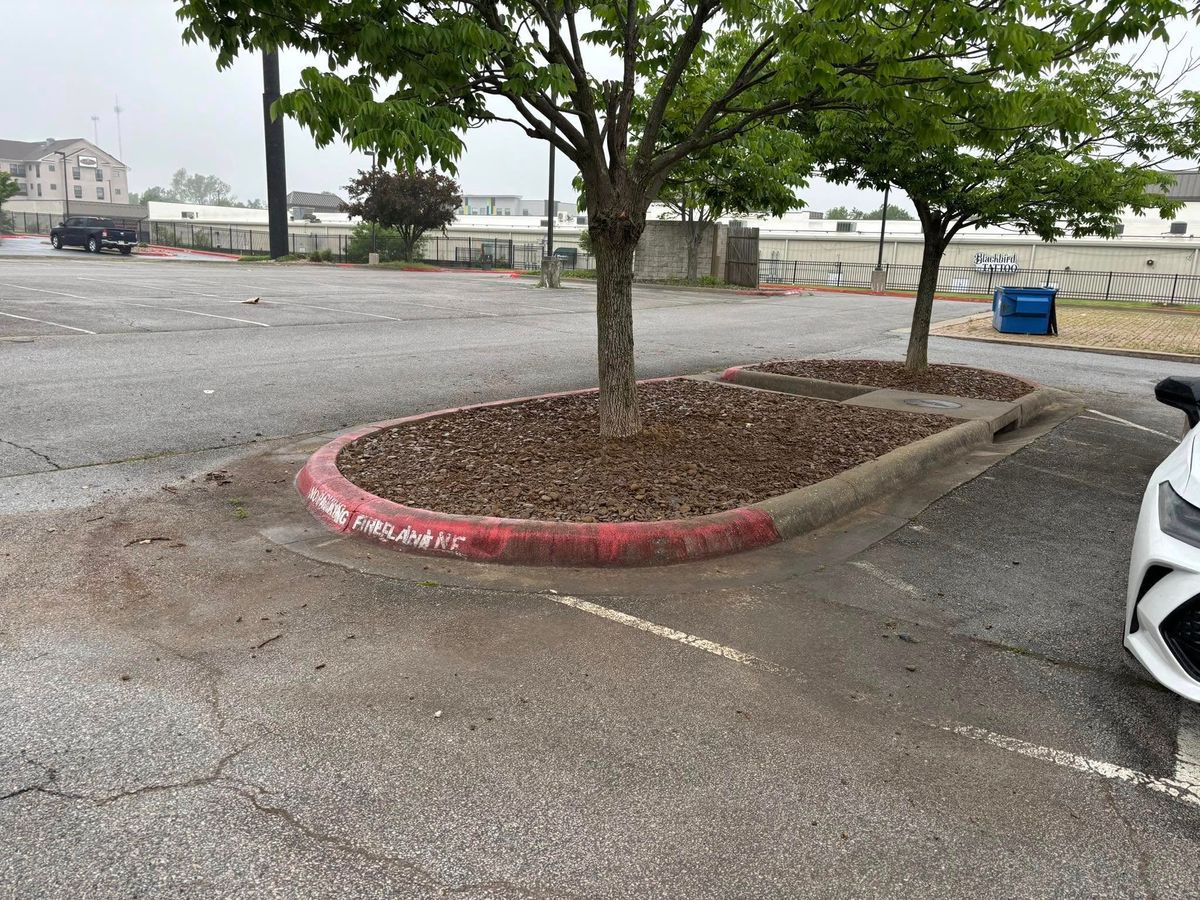 Tree & Shrub Care for Three Angels Lawncare in Rogers, AR