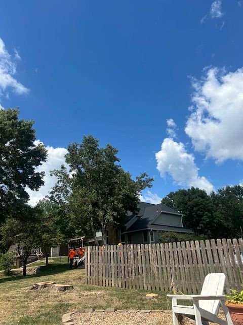 Tree Trimming for Cross Family Tree Service in Kearney, MO