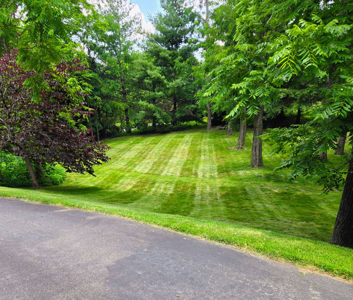 Mulching for C4 TrueVision Renovations in Asheville, NC