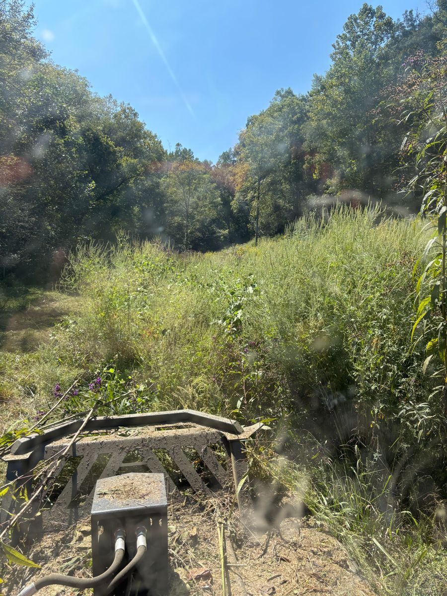 Land Clearing for Gregory Grass and Lawn in Lafayette, TN