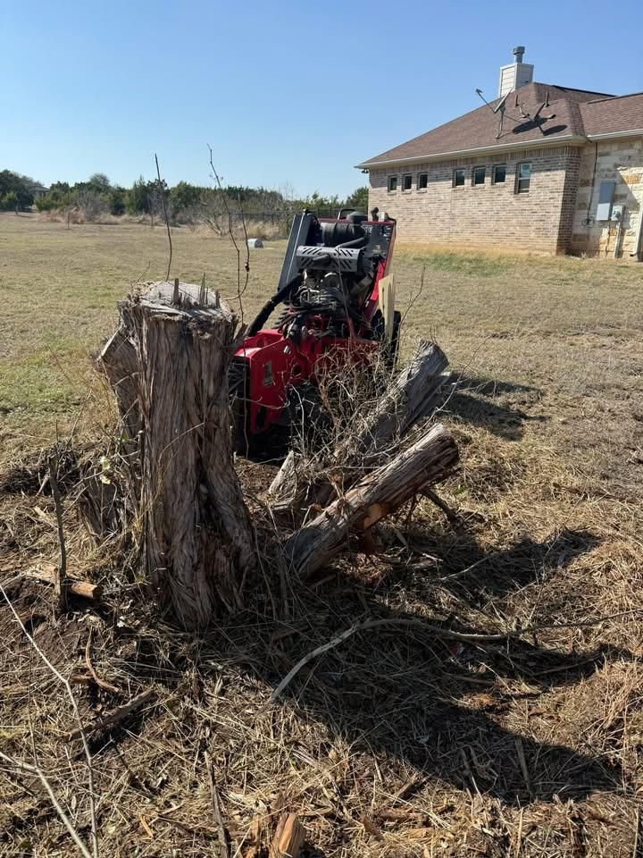 Tree Stump Grinding for Oakley’s Stump ‘N Grind in Leander, TX