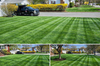 Landscape Maintenance & Design for Garciano Masonry in Springfield Township, NJ