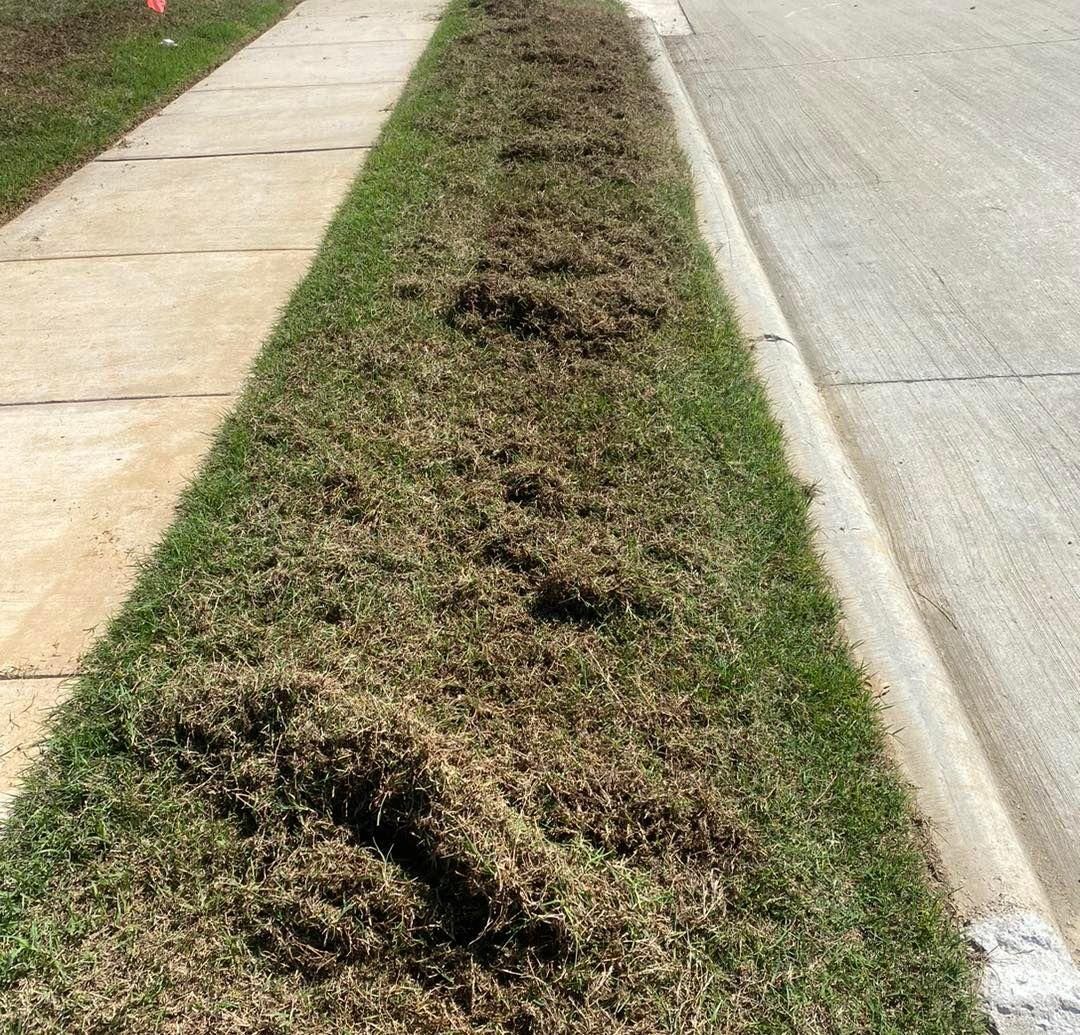 Dethatching for North Texas Groundscaping in Frisco, TX