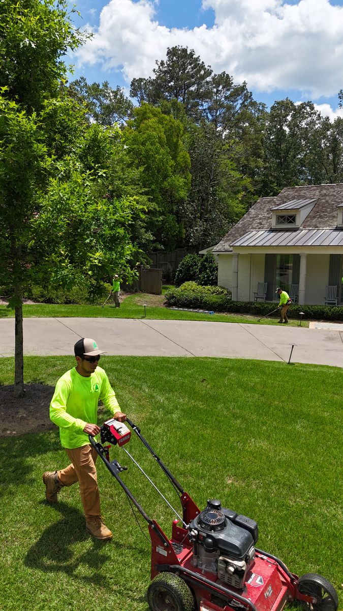 Mowing for Amis Lawn and Landscape, LLC in Clinton, MS