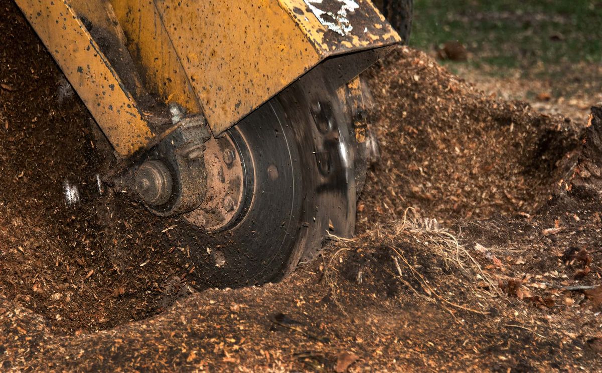 Stump Removal for Tesla Tree Trimming in Kempner, TX