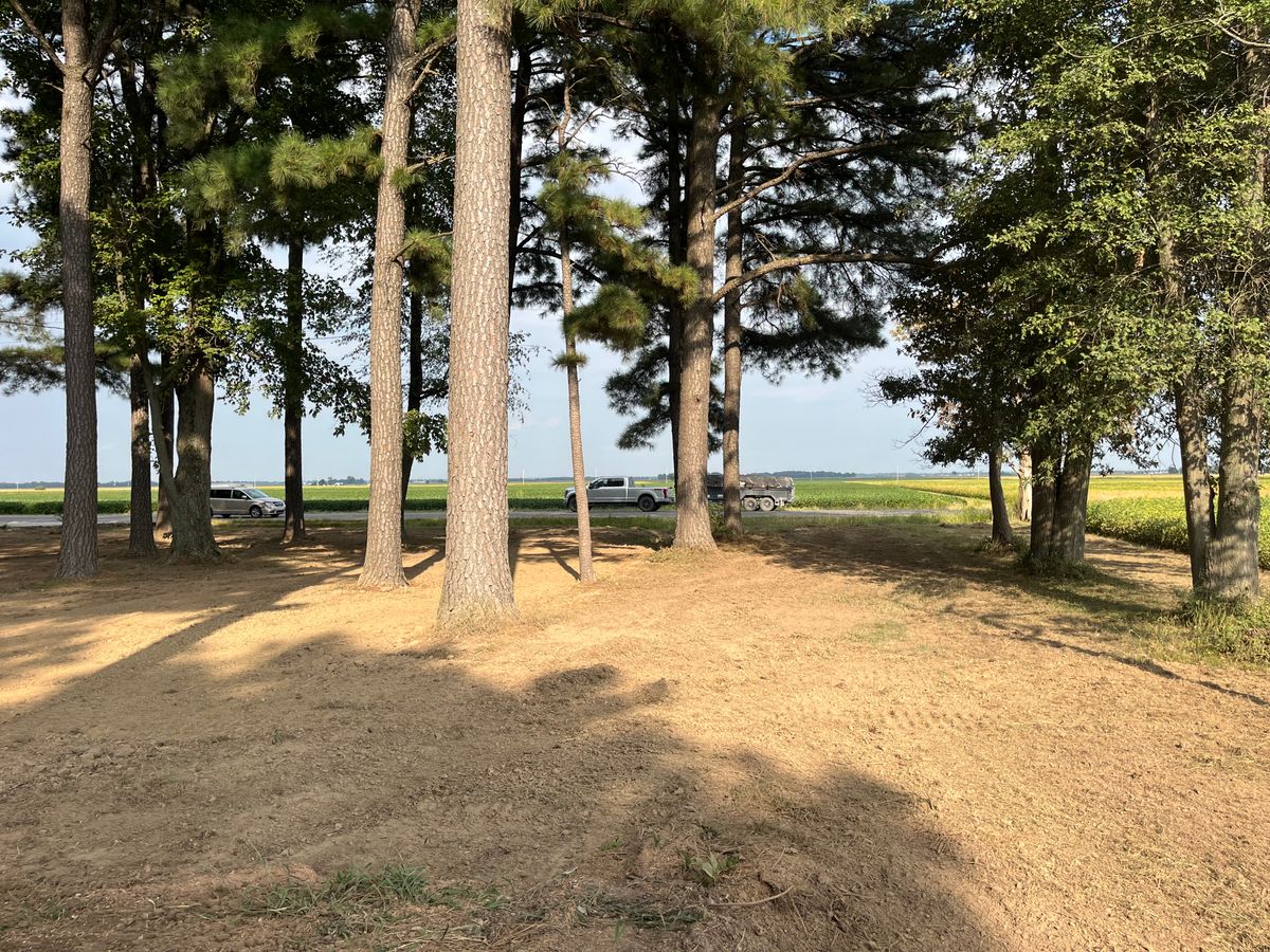 Land Clearing & Demolition for KG Ground Development and Transportation in Newton, IL