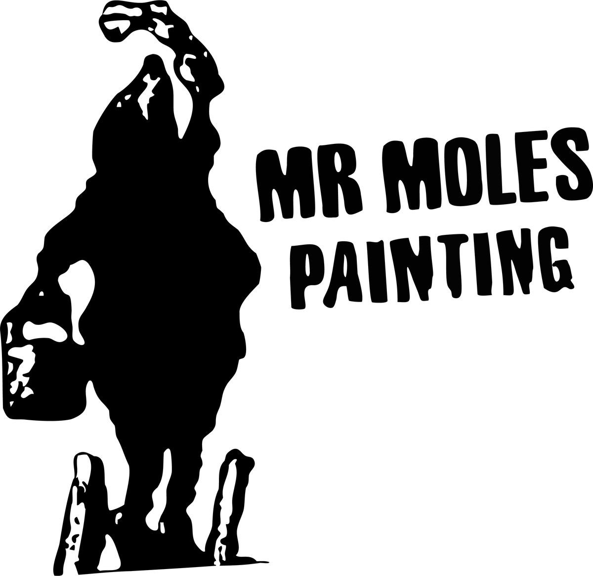 Exterior Painting for Mr. Mole's Painting in Bemidji, MN