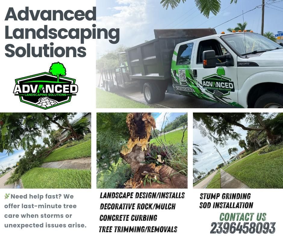 Tree Removal for Advanced Landscaping Solutions LLC in Fort Myers, FL