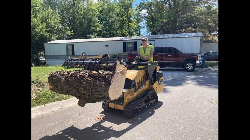 Tree Removal for Village Tree Service  in Whitestown, IN